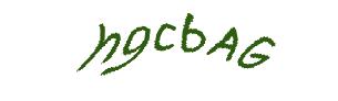 عبارت امنیتی