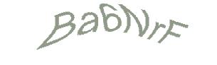 عبارت امنیتی