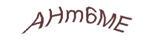 عبارت امنیتی
