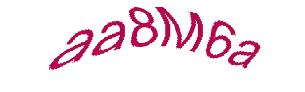 عبارت امنیتی