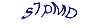 عبارت امنیتی
