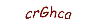 عبارت امنیتی