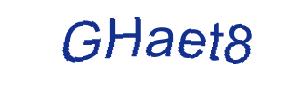 عبارت امنیتی