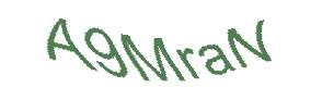 عبارت امنیتی
