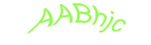 عبارت امنیتی