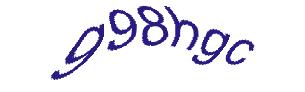 عبارت امنیتی