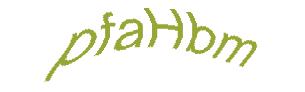 عبارت امنیتی