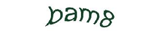 عبارت امنیتی