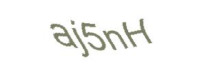 عبارت امنیتی