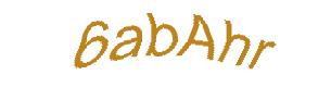 عبارت امنیتی