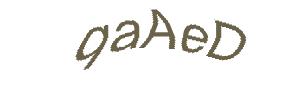 عبارت امنیتی