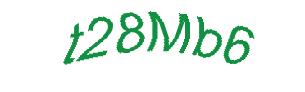 عبارت امنیتی