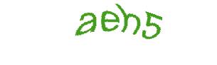 عبارت امنیتی