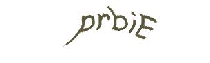 عبارت امنیتی