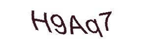عبارت امنیتی