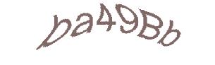 عبارت امنیتی