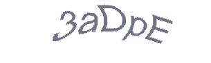 عبارت امنیتی