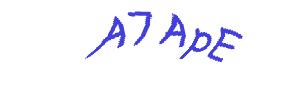 عبارت امنیتی