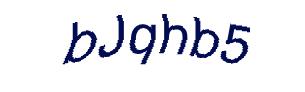 عبارت امنیتی