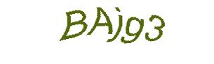 عبارت امنیتی