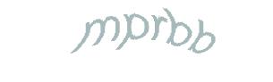 عبارت امنیتی