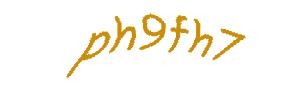 عبارت امنیتی