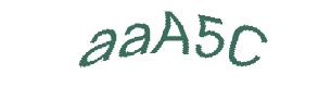 عبارت امنیتی