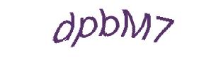 عبارت امنیتی