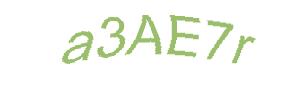 عبارت امنیتی
