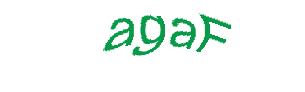 عبارت امنیتی
