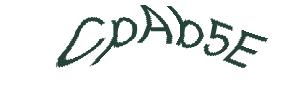 عبارت امنیتی