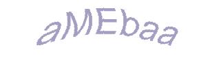 عبارت امنیتی
