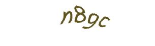 عبارت امنیتی