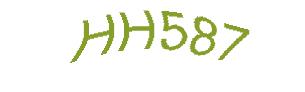 عبارت امنیتی