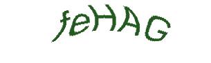 عبارت امنیتی
