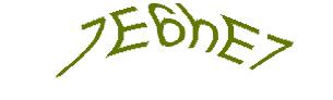 عبارت امنیتی