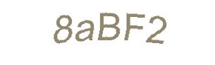 عبارت امنیتی