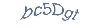عبارت امنیتی
