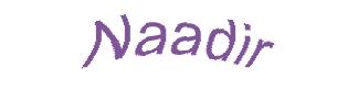 عبارت امنیتی