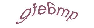 عبارت امنیتی