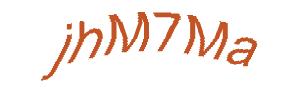 عبارت امنیتی