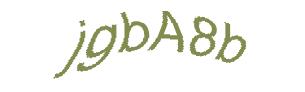 عبارت امنیتی