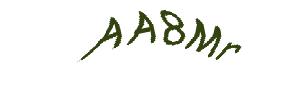عبارت امنیتی