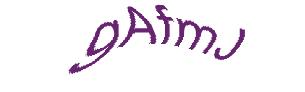عبارت امنیتی