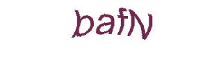عبارت امنیتی
