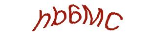 عبارت امنیتی