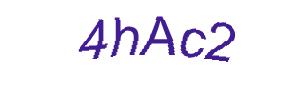 عبارت امنیتی