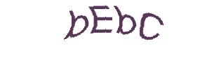 عبارت امنیتی