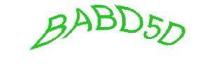 عبارت امنیتی