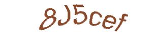 عبارت امنیتی
